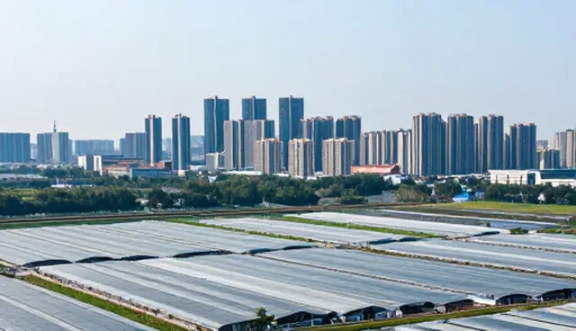发布策略中的企业信用评估服务检查要点
