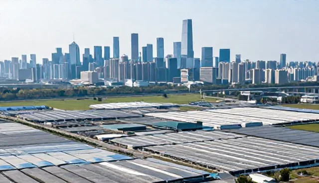 企业信用评估:如何有效使用与维护企业信息查询